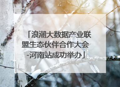 浪潮大数据产业联盟生态伙伴合作大会-河南站成功举办