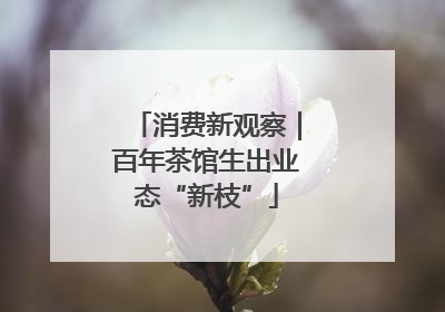 消费新观察｜百年茶馆生出业态“新枝”