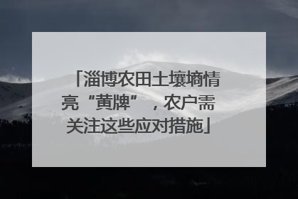 淄博农田土壤墒情亮“黄牌”，农户需关注这些应对措施