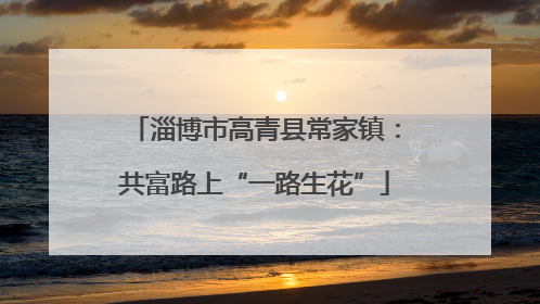 淄博市高青县常家镇：共富路上“一路生花”
