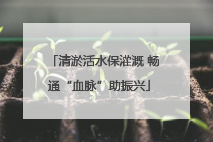 清淤活水保灌溉 畅通“血脉”助振兴