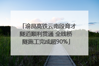 渝昆高铁云南段育才隧道顺利贯通 全线桥隧施工完成超90%