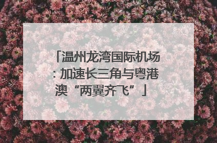 温州龙湾国际机场：加速长三角与粤港澳“两翼齐飞”
