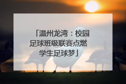 温州龙湾：校园足球班级联赛点燃学生足球梦