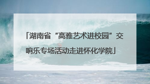 湖南省“高雅艺术进校园”交响乐专场活动走进怀化学院