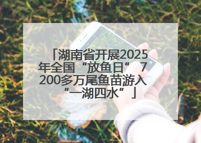湖南省开展2025年全国“放鱼日” 7200多万尾鱼苗游入“一湖四水”