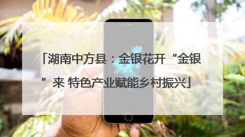 湖南中方县：金银花开“金银”来 特色产业赋能乡村振兴