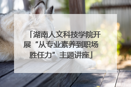 湖南人文科技学院开展“从专业素养到职场胜任力”主题讲座