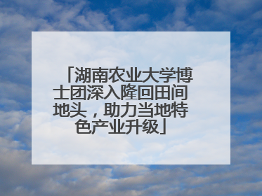 湖南农业大学博士团深入隆回田间地头，助力当地特色产业升级