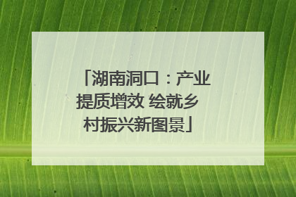 湖南洞口：产业提质增效 绘就乡村振兴新图景