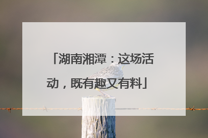 湖南湘潭：这场活动，既有趣又有料