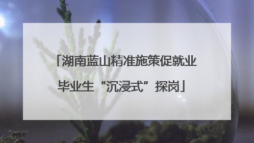 湖南蓝山精准施策促就业 毕业生“沉浸式”探岗