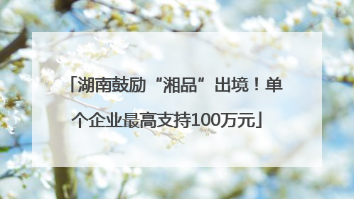 湖南鼓励“湘品”出境！单个企业最高支持100万元