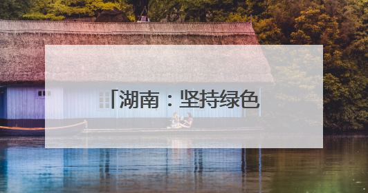 湖南：坚持绿色低碳发展 构建现代化产业体系