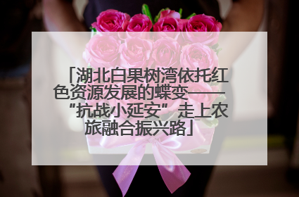 湖北白果树湾依托红色资源发展的蝶变——“抗战小延安”走上农旅融合振兴路