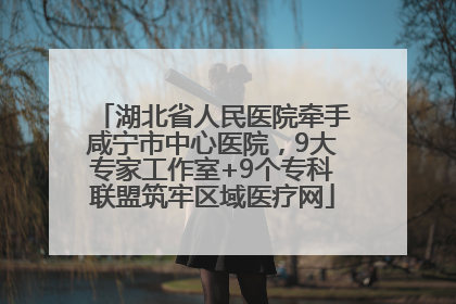 湖北省人民医院牵手咸宁市中心医院，9大专家工作室+9个专科联盟筑牢区域医疗网