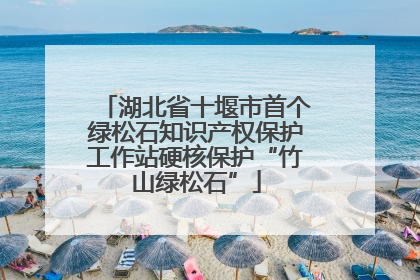湖北省十堰市首个绿松石知识产权保护工作站硬核保护“竹山绿松石”