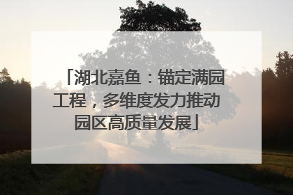 湖北嘉鱼：锚定满园工程，多维度发力推动园区高质量发展