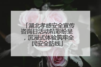 湖北孝感安全宣传咨询日活动精彩纷呈，沉浸式体验筑牢全民安全防线