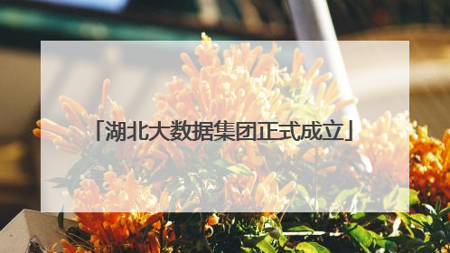 湖北大数据集团正式成立