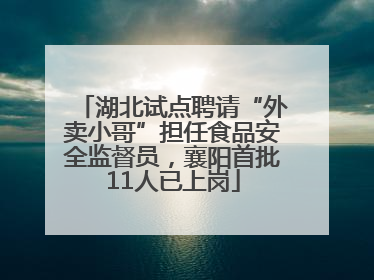 湖北试点聘请“外卖小哥”担任食品安全监督员，襄阳首批11人已上岗