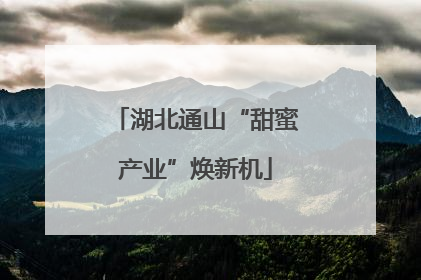 湖北通山“甜蜜产业”焕新机
