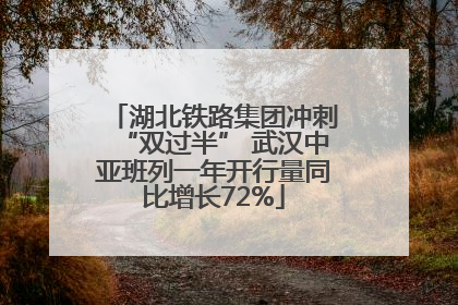 湖北铁路集团冲刺“双过半” 武汉中亚班列一年开行量同比增长72%
