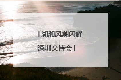湖湘风潮闪耀深圳文博会