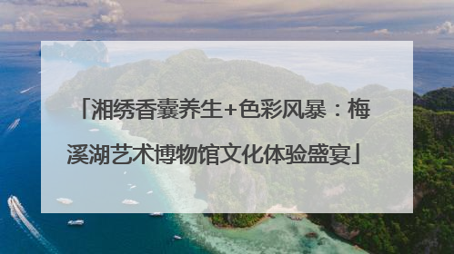 湘绣香囊养生+色彩风暴：梅溪湖艺术博物馆文化体验盛宴