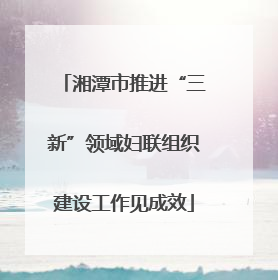 湘潭市推进“三新”领域妇联组织建设工作见成效