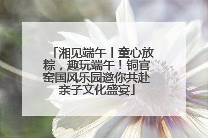 湘见端午丨童心放粽，趣玩端午！铜官窑国风乐园邀你共赴亲子文化盛宴
