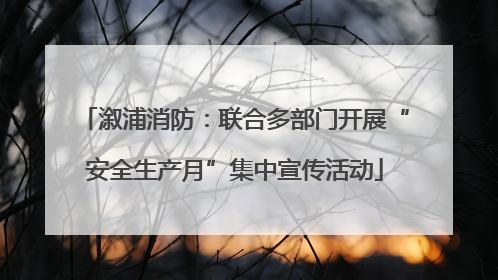 溆浦消防：联合多部门开展“安全生产月”集中宣传活动