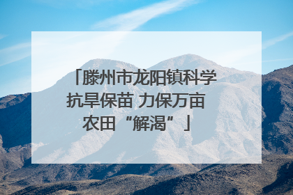 滕州市龙阳镇科学抗旱保苗 力保万亩农田“解渴”