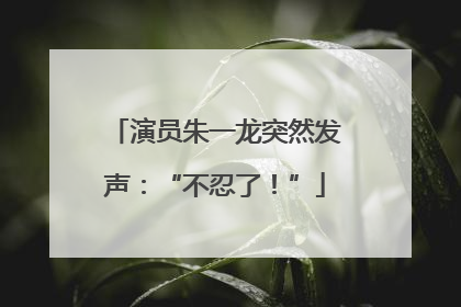 演员朱一龙突然发声：“不忍了！”