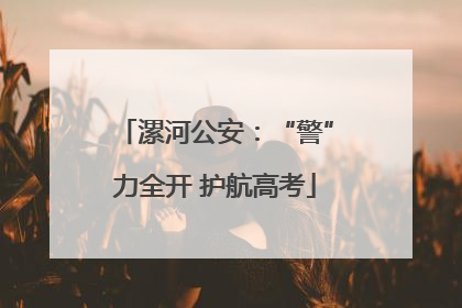漯河公安：“警”力全开 护航高考