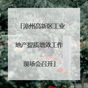 漳州高新区工业地产提质增效工作现场会召开