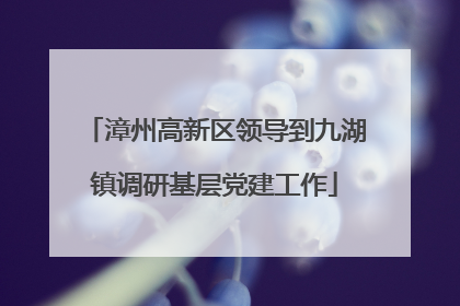 漳州高新区领导到九湖镇调研基层党建工作