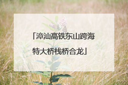 漳汕高铁东山跨海特大桥栈桥合龙