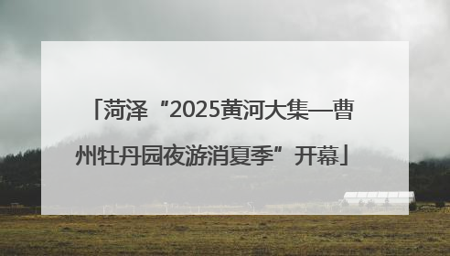 菏泽“2025黄河大集—曹州牡丹园夜游消夏季”开幕