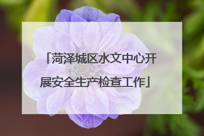 菏泽城区水文中心开展安全生产检查工作