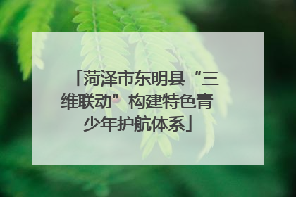菏泽市东明县“三维联动”构建特色青少年护航体系