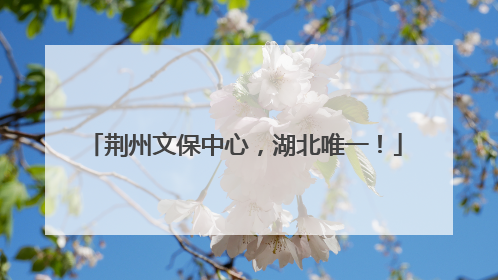 荆州文保中心，湖北唯一！