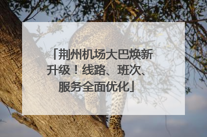 荆州机场大巴焕新升级！线路、班次、服务全面优化