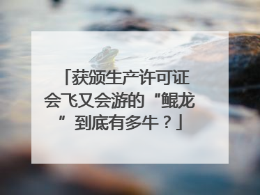 获颁生产许可证 会飞又会游的“鲲龙”到底有多牛？