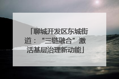聊城开发区东城街道：“三链融合”激活基层治理新动能