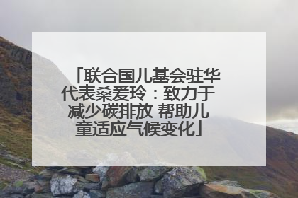 联合国儿基会驻华代表桑爱玲：致力于减少碳排放 帮助儿童适应气候变化