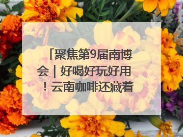 聚焦第9届南博会｜好喝好玩好用！云南咖啡还藏着多少惊喜？