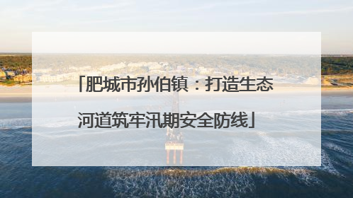 肥城市孙伯镇：打造生态河道筑牢汛期安全防线