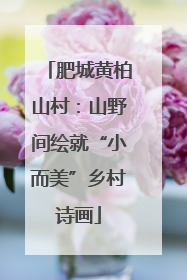 肥城黄柏山村：山野间绘就“小而美”乡村诗画