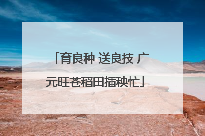 育良种 送良技 广元旺苍稻田插秧忙